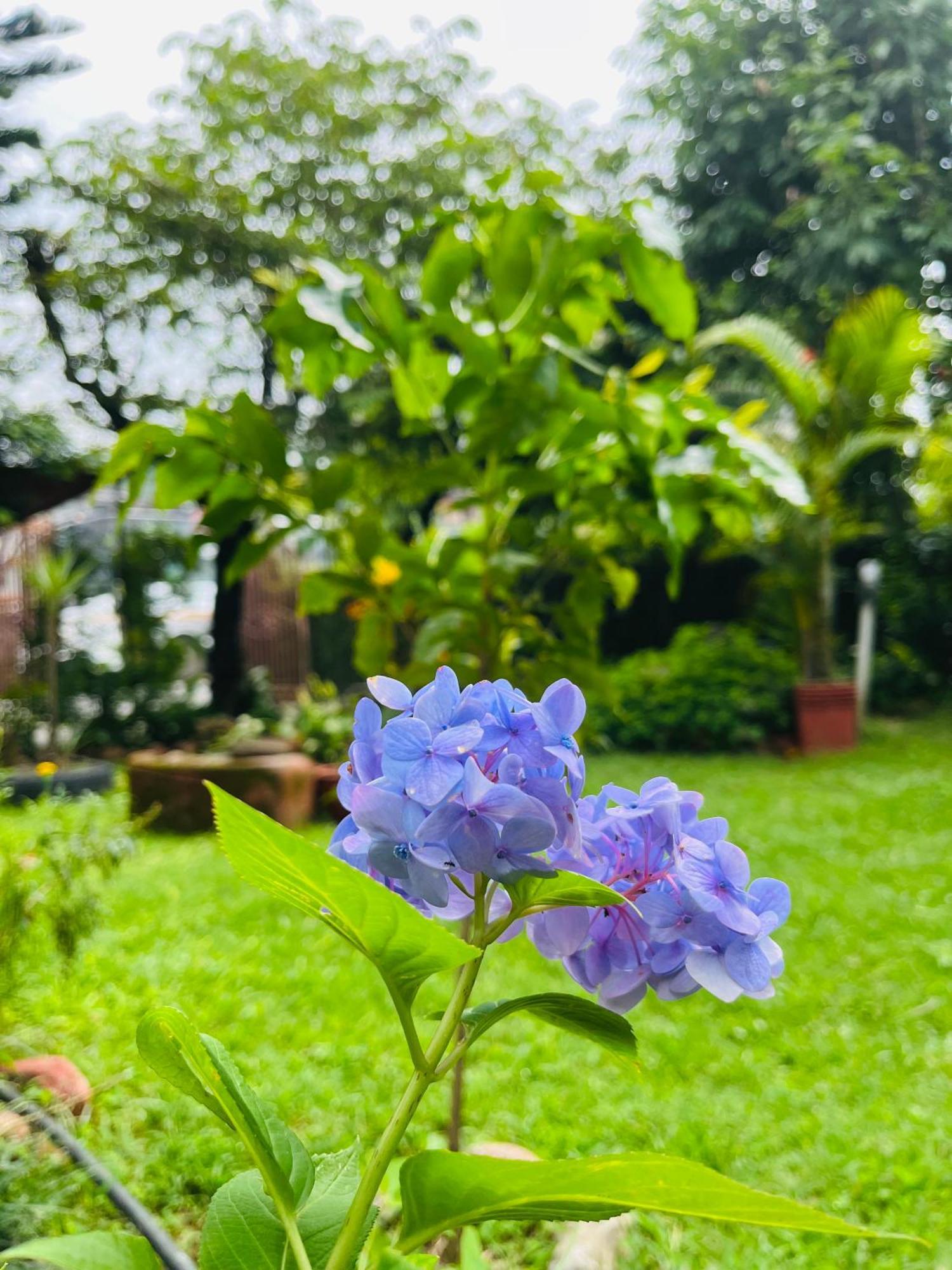 Cherry Garden 3* Pokhara
